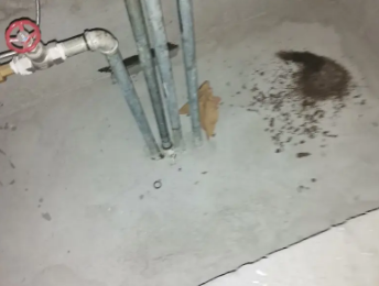 达坂城卫生间测漏水价格明细