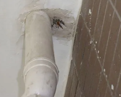 达坂城漏水检测哪家好